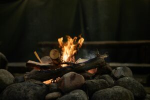 Mehr über den Artikel erfahren SPONTAN-EINLADUNG an alle naturbegeisterten Jugendlichen zum Austausch mit dem internationalen Youth-Camp an der Naturschutzstation Wildenrath